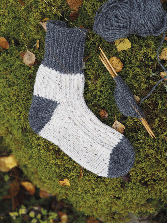 Fjällripa – Sokken